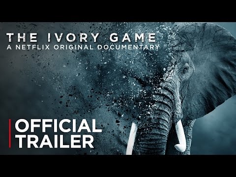 The Ivory Game | Official Trailer [HD] | Netflix