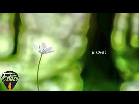 Extaza - Ta cvet [Official Audio]