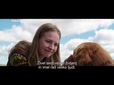 PASJI SMISEL ŽIVLJENJA (A Dog&#039;s Purpose) - v kinu od 27. aprila!