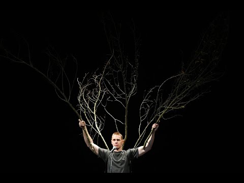 Katarina Morano KAKO JE PADLO DREVO/HOW A TREE FELL, režiser/director Žiga Divjak
