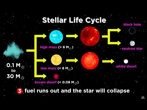 The Life and Death of Stars: White Dwarfs, Supernovae, Neutron Stars, and Black Holes