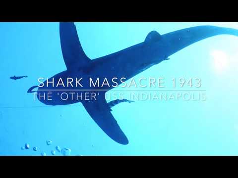 Shark Massacre 1943 - The &#039;Other&#039; USS Indianapolis