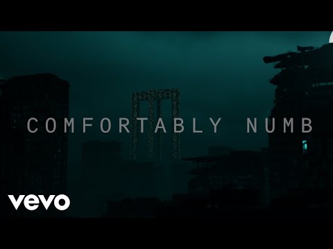 Roger Waters - Comfortably Numb 2022
