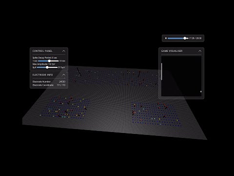 Human brain cells in a dish learn to play Pong