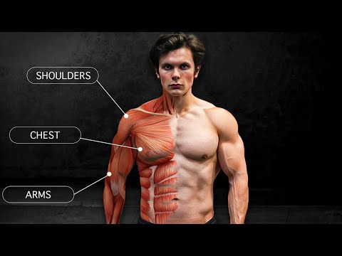 How I Built Muscle 2X FASTER!