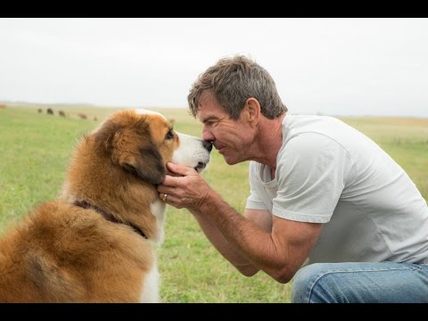 PASJI SMISEL ŽIVLJENJA (Dog&#039;s Purpose) - v kinu od 27. aprila!