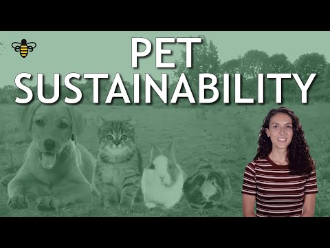 Pet Sustainability