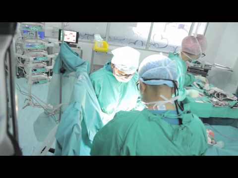 Medical Tourism in Malaysia