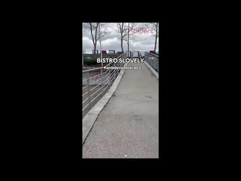 Bon inšpektorji v Bistroju Slovely