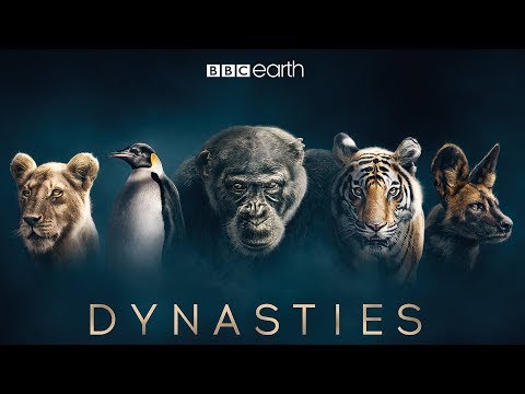 Dynasties: First Look Trailer | New David Attenborough Series | BBC Earth