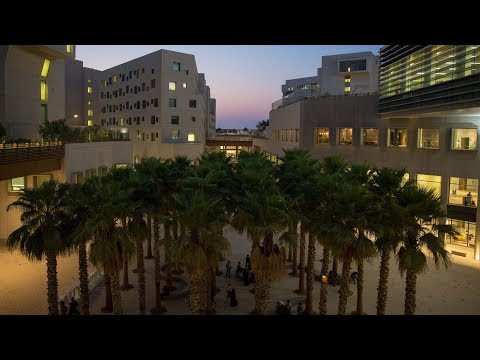 NYU Abu Dhabi Campus Tour