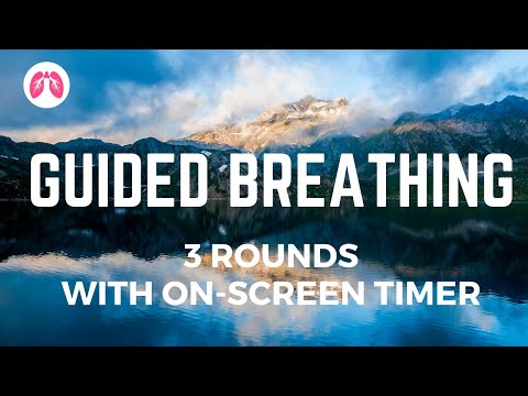 Guided Breathing (3 rounds with onscreen timer)