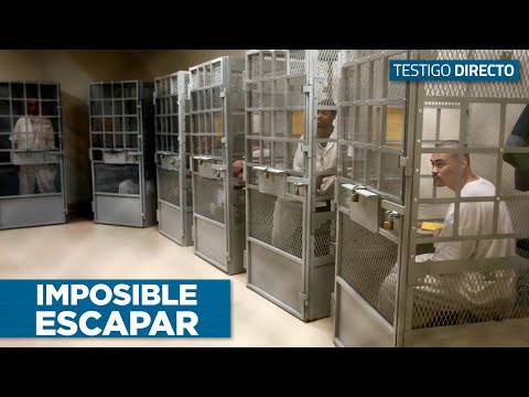 Así Es La Nueva Mega Cárcel De El Salvador: Por Esto Ningún Pandillero Podrá Escapar Testigo Directo