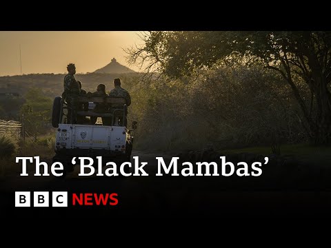 South Africa’s ‘Black Mamba’ anti-poaching unit | BBC News