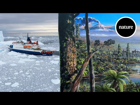 An ancient Antarctic rainforest