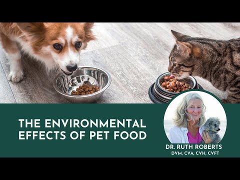 The Environmental Effects of Pet Food | What&#039;s The Most Sustainable Dog Food?