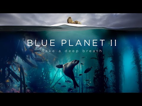 Blue Planet II : The Prequel