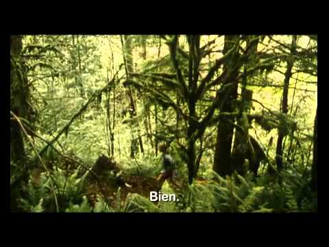 Old Joy - bande annonce