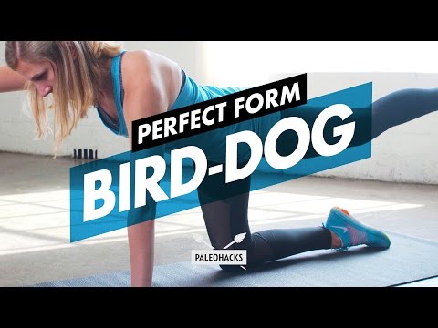 How to Do Bird-Dogs + Mistakes &amp; Variations