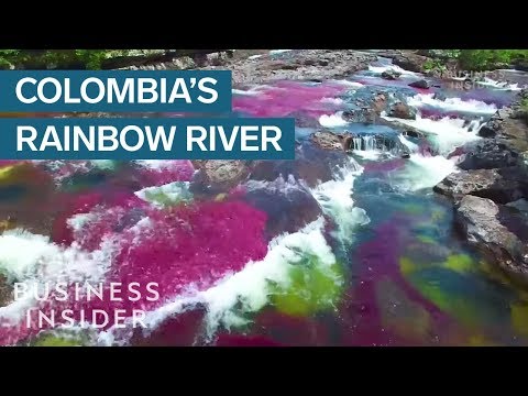 Rainbow River In Colombia Is The Most Beautiful In The World