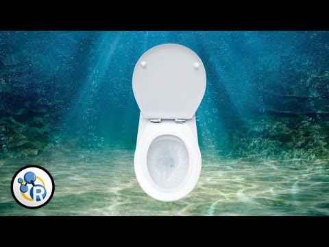 Is it OK to Pee in the Ocean?