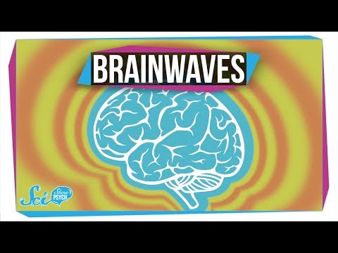 What Do Different Brainwaves Mean?