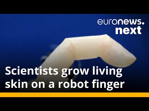 Scientists put living skin on robot that can heal when cut and has wrinkles too