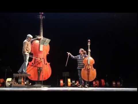 Amazing Grace, Amazing Octobass