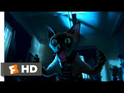 Cats &amp; Dogs (3/10) Movie CLIP - Ninja Cats (2001) HD