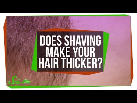 Does Shaving Make Your Hair Thicker?