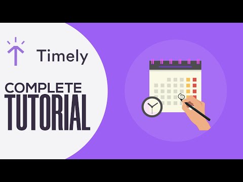 How to Use Timely In 2023 | Step by Step In (2023)