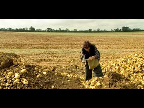 Les Glaneurs et la Glaneuse, 2 ans après - (English subtitles)