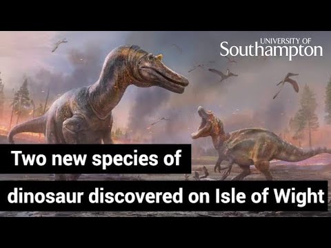 Two new species of dinosaur discovered on Isle of Wight | University of Southampton