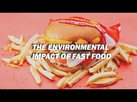 The Environmental Impact of Fast Food // + tips for sustainable fast food