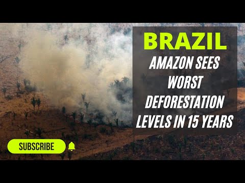 #Brazil: Amazon sees worst deforestation levels in 15 years #ClimateChange #COP26 #BreakingNews