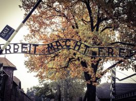 Napis: " Delo osvobaja" ob vhodu v Auschwitz.