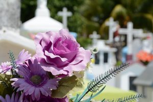 vijolične rože v ospredju, v ozadju pokopališče
