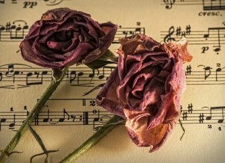 Izbor najlepših balkanskih balad zadnjega desetletja notno črtovje in vrtnici