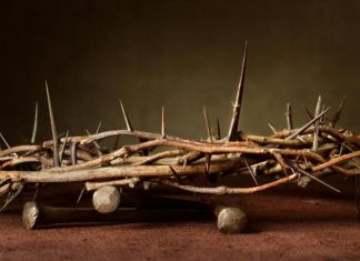 Ne pozabimo na dan mučenikov Trnjeva krona