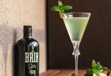 Razkrivamo skrivnosti te priljubljene pijače! BRIN gin! Brin Gin