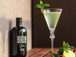Brin Gin