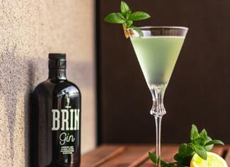 Razkrivamo skrivnosti te priljubljene pijače! BRIN gin! Brin Gin