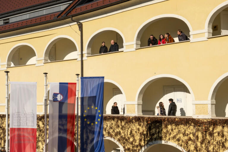 V odkrivanju poklicne poti