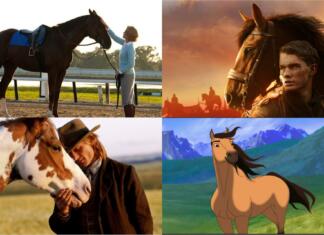 Najboljši filmi o konjih Najboljši filmi o konjih in s konji