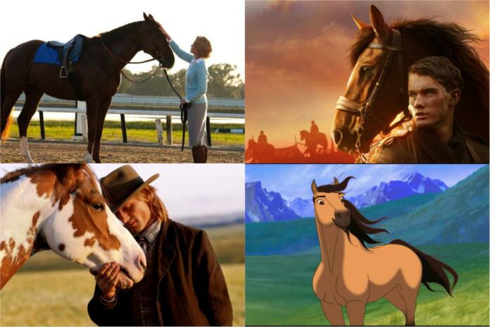 Najboljši filmi o konjih in s konji