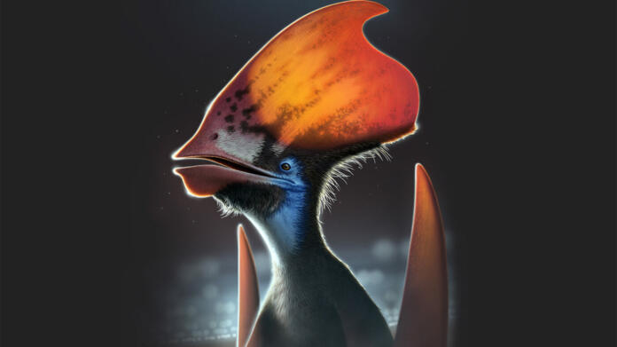 Pterozavri naj bi imeli telesa prekrita z barvitim perjem in izrastki na glavi, ki so bili prav tako barviti