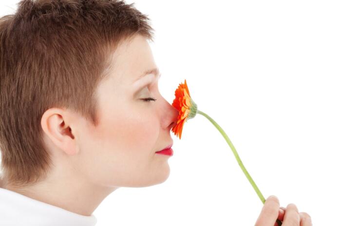 Oseba pred nosom drži rdečo rožo