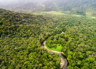 Antično naselje odkrito v Amazoniji V Amazoniji najdeno antično mesto