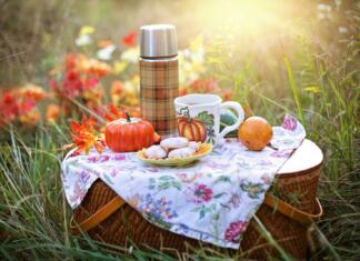 Nasveti za okolju prijazen poletni piknik autumn, tea, fall