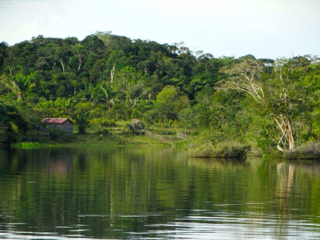 Amazonski pragozd je bil dom številnih kultur in ljudstev, ki še danes niso odkrita
